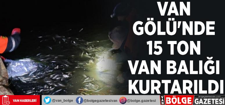 Van Gölü'nde 15 ton Van Balığı kurtarıldı