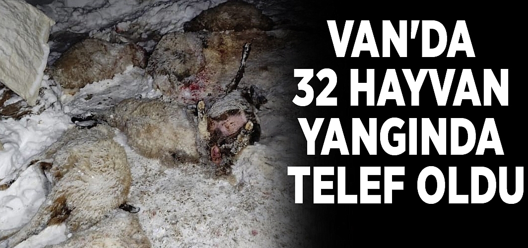 Van'da 32 hayvan yangında telef oldu