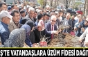 Erciş'te vatandaşlara üzüm fidesi dağıtıldı