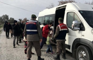 Van'da 3 bin 173 göçmen ve 98 organizatör yakalandı