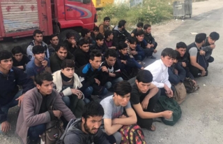 Van'da 58 göçmen yakalandı