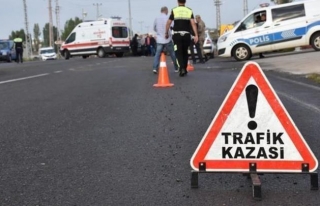 Gürpınar'da trafik kazası: 1 ölü, 19 yaralı 