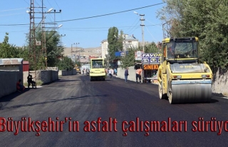 Tuşba'daki Fatih Caddesi'nde asfalt serimi...