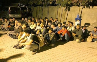 Tuşba'da 52 kaçak göçmen yakalandı