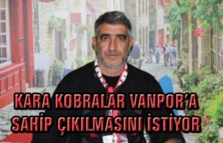 Dülger: Yenitürk ve Vanspor'a sahip çıkalım