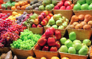 Kuru gıda, şarküteri ve sebze meyve satın alınacak