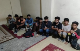 Van’da 24 düzensiz göçmen yakalandı