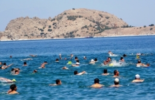 Adır Adası’nda yüzme festivali düzenlenecek