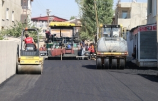 Şabaniye Mahallesi’nde 26 sokak asfaltlanıyor