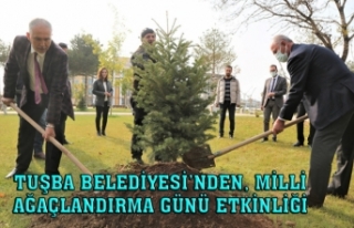 Akman: Tuşba'da ağaçlandırma çalışmaları...
