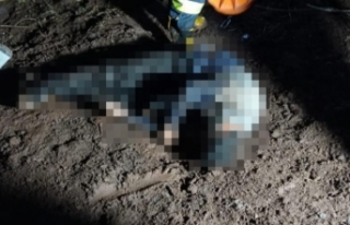 Van Özalp'ta erkek cesedi bulundu