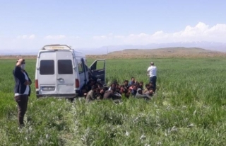 Göçmenleri taşıyan araç kaza yaptı: 4 yaralı