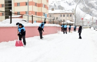 Çatak Belediyesi'nden karla mücadele çalışması