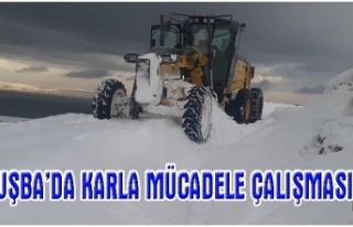 Tuşba Belediyesi, karla mücadele çalışmalarını...