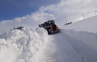 Çaldıran Belediyesi'nden karla mücadele çalışması