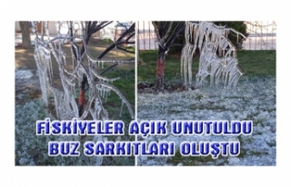 Erciş'teki parkta buz sarkıtları oluştu