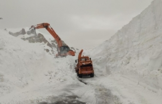 Karabet Geçidi'nde karla mücadele sürüyor