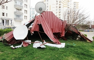 Van'da şiddetli rüzgâr, hayatı olumsuz etkiledi