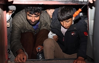 Erciş'te 47 düzensiz göçmen yakalandı