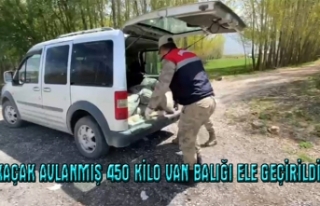 Jandarma, kaçak avlanmış 450 kilo Van Balığı...
