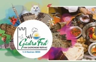 Van, ‘Gastronomi Festivali’ne hazırlanıyor