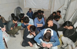 Van'da 20 düzensiz göçmen yakalandı