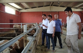 Başkan Süer’den çiftçilere ziyaret