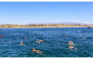 Yüzme festivalinde Adır Adası'na yüzüldü