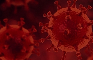 Çin'den yeni ölümcül virüs haberi: 35 kişide...