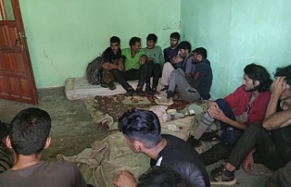 Van'da 33 düzensiz göçmen yakalandı
