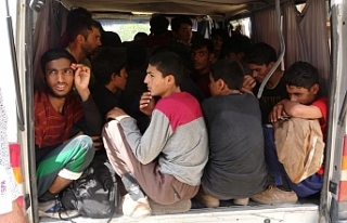 Van’da 20 düzensiz göçmen yakalandı