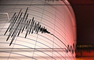 Van Gölü’nde 4.2 büyüklüğünde deprem