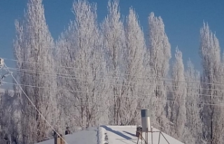 Özalp’ta Sibirya soğukları hayatı olumsuz etkiliyor