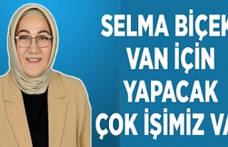 Selma Biçek: Van için yapacak çok işimiz var