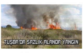 Tuşba'da sazlık alanda yangın