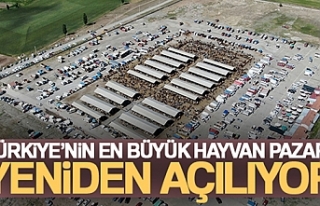 Türkiye'nin en büyük hayvan pazarı yeniden...