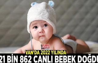 Van'da 2022 yılında 21 bin 862 canlı bebek...