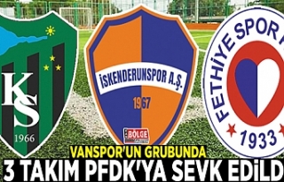 Vanspor'un grubunda 3 takım PFDK'ya sevk...