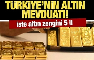 Altın zengini beş il: Toplam değeri 400 milyar...