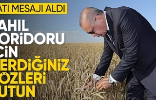 Cumhurbaşkanı Erdoğan'ın tahıl mesajı dünya...