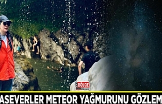 Doğaseverler meteor yağmurunu gözlemledi