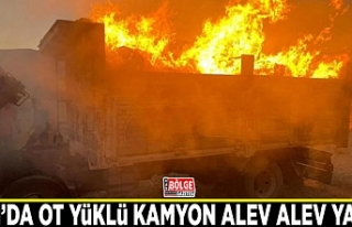 Gürpınar’da ot yüklü kamyon alev alev yandı