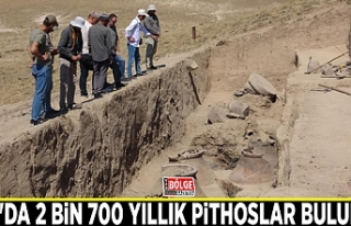 Van'da 2 bin 700 yıllık pithoslar bulundu