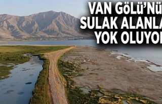 Van Gölü’nün sulak alanları yok oluyor
