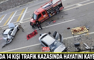 Van'da 14 kişi trafik kazasında hayatını kaybetti