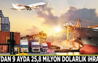 Van'dan 9 ayda 25,8 milyon dolarlık ihracat