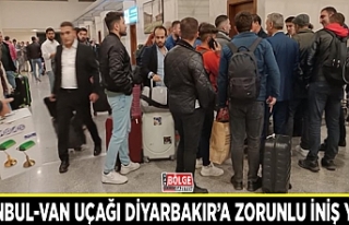 İstanbul-Van uçağı Diyarbakır’a zorunlu iniş...