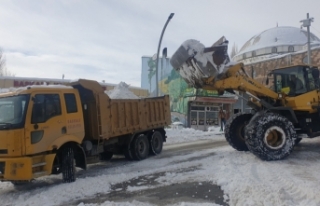 Başkale'de kamyonlarla kar taşınıyor