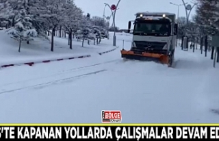 Erciş'te kardan kapanan yollarda çalışmalar...