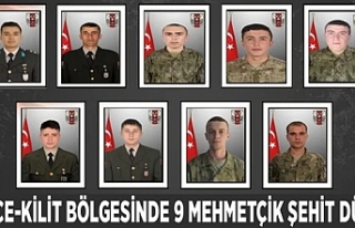 Pençe-Kilit bölgesinde 9 Mehmetçik şehit düştü